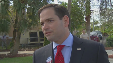 el nuevo herald recomienda a marco rubio para el senado de eeuu