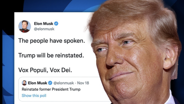 El pueblo ha hablado Musk restablece la cuenta de Trump en Twitter