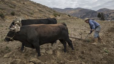 Científicos testifican el final de un glaciar en Venezuela