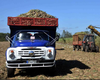 Díaz Canel reconoce estado crítico de la industria azucarera en Cuba 