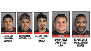 desmantelan banda de miembros del  tren de aragua vinculada a mas de 30 robos en tiendas de florida