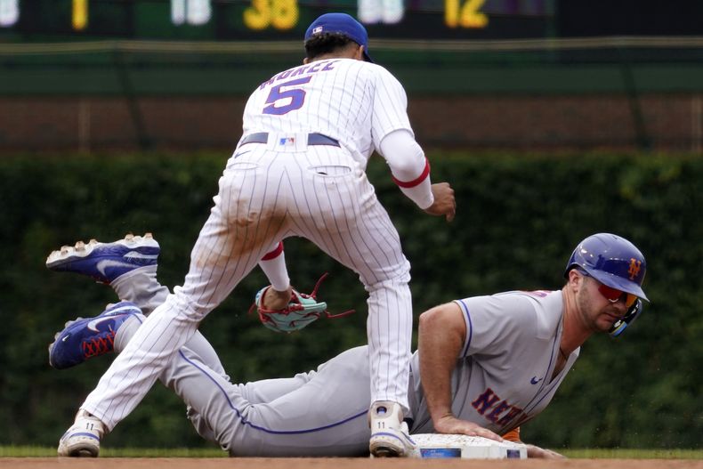 DEP-BEI METS-CACHORROS