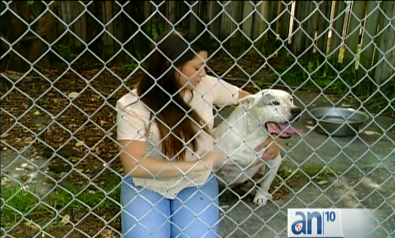 Screen Shot 2015-07-28 at 10.12.09 PM.png