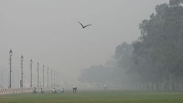 Nueva Deli trata de rebajar la contaminación en el aire