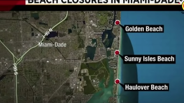 autoridades de miami - dade decidieron reabrir las cuatro playas que habian cerrado por marea roja