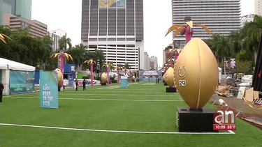 miami se prepara para celebrar la semana del super bowl