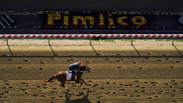 El ganador del Derby de Kentucky, Mage, entrena de cara a la 148va edición del Preakness Stakes en el Hipódromo Pimlico, el jueves 18 de mayo de 2023, en Baltimore. (AP Foto/Julio Cortez)