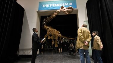 El Patagotitán, el más grande de todos los dinosaurios