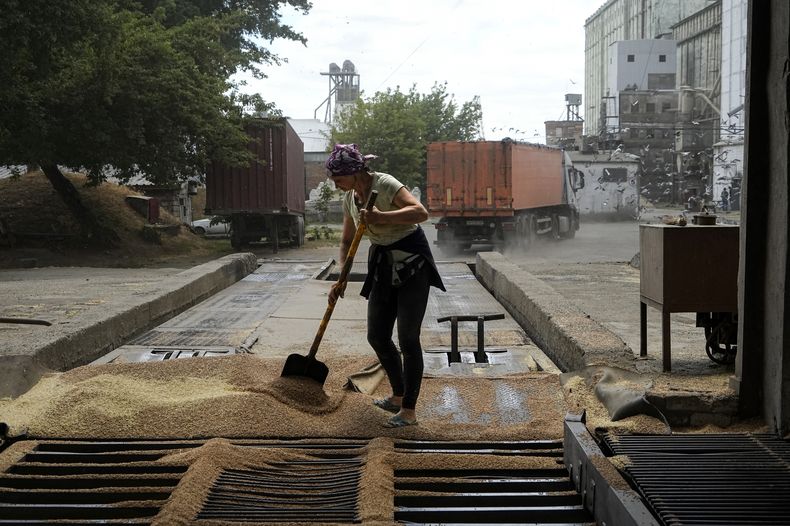 Archivo - Una trabajadora barre grano luego de ser descargado por camiones en un elevador, en Melitopol, en el sur de Ucrania, el 14 de julio de 2022. (AP Foto, Archivo)