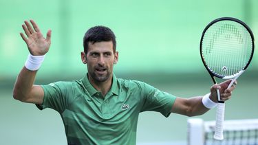 US Open: Williams y Djokovic están anotados, pero son duda