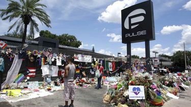la vida despues de pulse