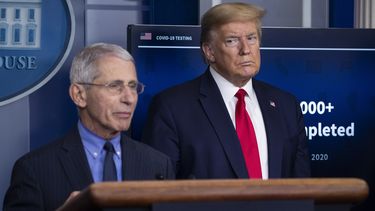 Fauci advierte de que una lenta transición de poder en EEUU podría retrasar el lanzamiento de una vacuna