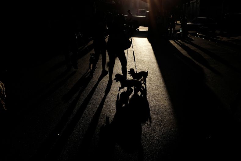 REP-GEN_VENEZUELA-MASCOTAS_CRISIS-2.jpg