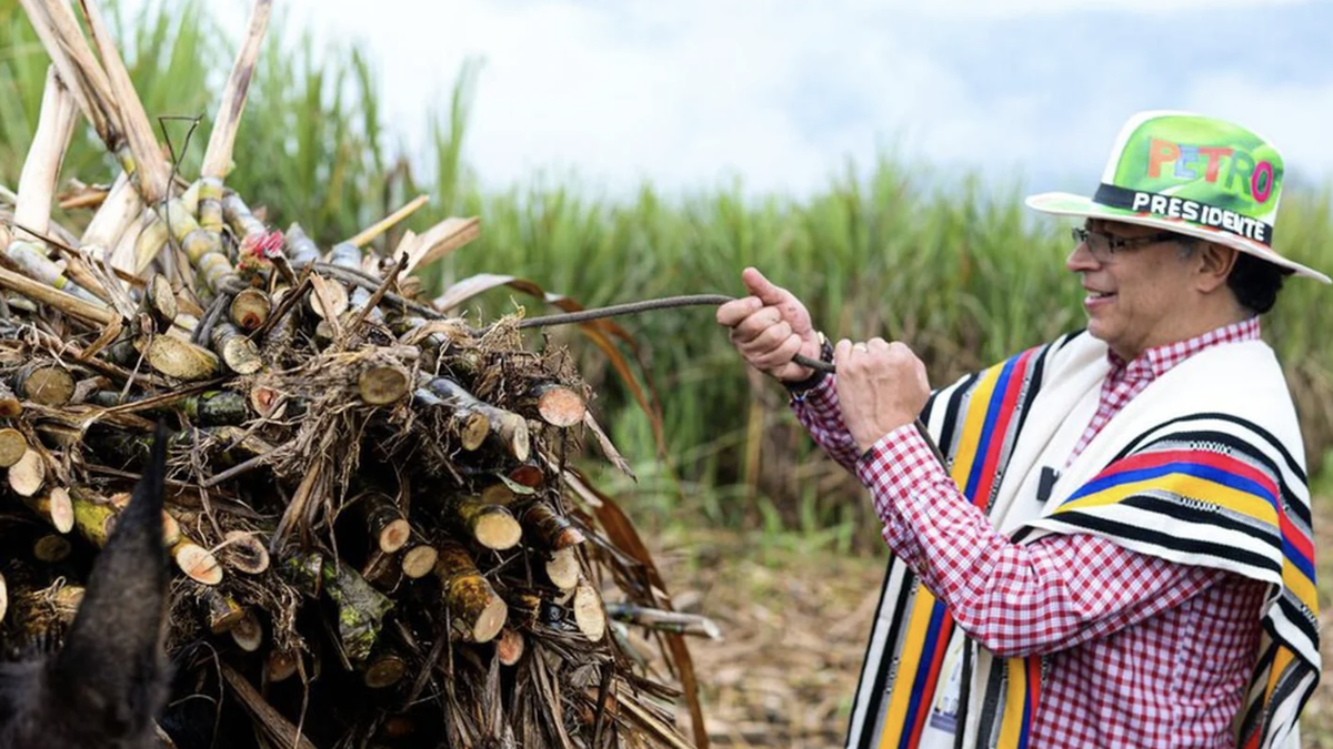 Colombia: Quién Es Gustavo Petro, El Ex Guerrillero Que Llegó A Presidente