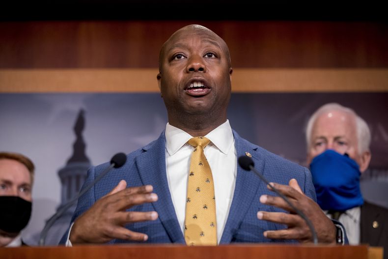 REP-GEN_PROTESTAS-TIM_SCOTT-0.jpg