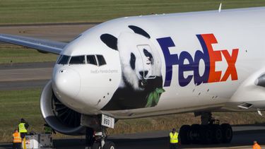 Trabajadores caminan hacia un avión de carga de FedEx que lleva pandas gigantes a bordo de China tras aterrizar en el Aeropuerto Internacional Dulles, en Sterling, Virginia, el martes 15 de octubre de 2024. (AP Foto/Kevin Wolf)