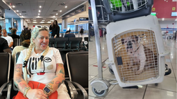 la diosa logra traer a miami a su perro que habia dejado en cuba