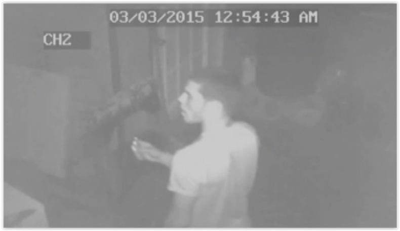 ladrones de palomas.PNG