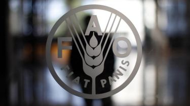 fao: precio de alimentos sube tras fin de acuerdo de granos