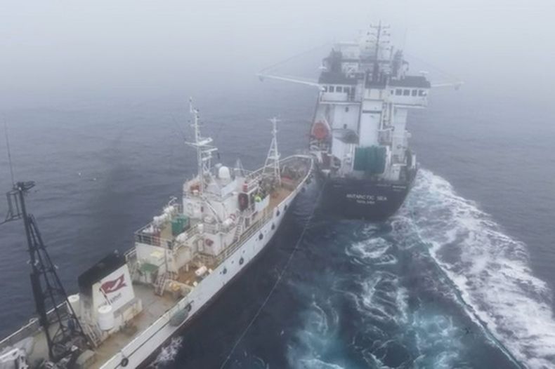 En esta imagen de un video proporcionado por la compañía Aker Qrill, un barco activista, operado por la Fundación Capitán Paul Watson, choca con el Antarctic Sea, un buque operado por la compañía Aker Qrill, el martes 31 de marzo de 2026, en aguas de la Antártida. (Aker Qrill Company vía AP)