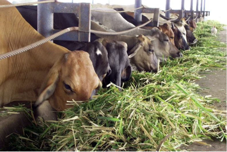 Screen Shot 2022-04-05 at 5.35.45 PM.png