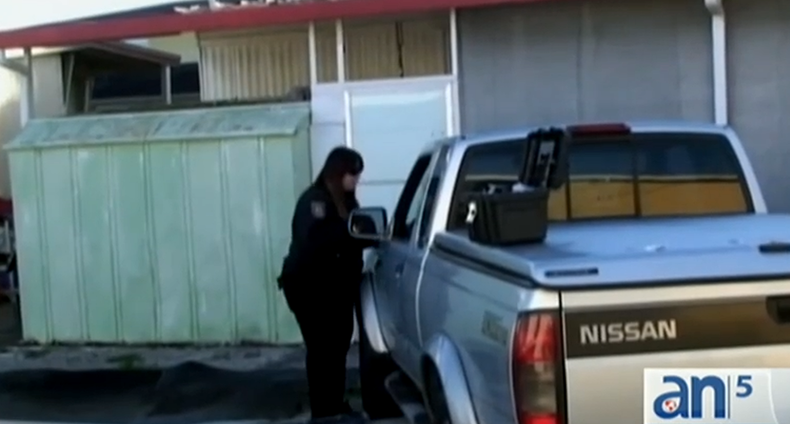 vandalizan carros en hialeah.png