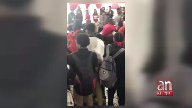 salen a la luz videos de violenta pelea tumultuaria dentro de una escuela de miami ? dade