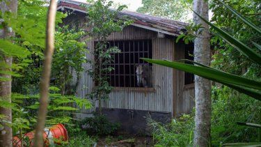 Sin casa y sin dinero: En el limbo compradores de estorbos públicos