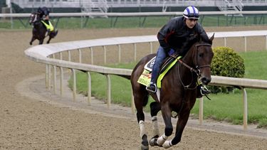 americateve | El jinete de pr&aacute;ctica Faustino Aguilar monta a Medal Count en una pr&aacute;ctica para el Derby de Kentucky el mi&eacute;rcoles, 30 de abril de 2014, en Louisville, Kentucky. (AP Photo/Garry Jones)