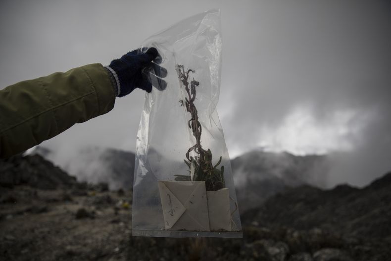 REP-CIE_¿QUE_SE_PUEDE_SALVAR?-GLACIAR-6.jpg