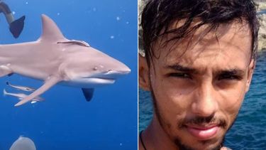 tragedia en puerto escondido, mayabaque: muere joven submarinista tras ataque de un tiburon