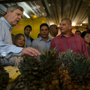 Rubio rechaza confirmación de Secretario de Agricultura por vínculos con Cuba: Sería un error inconcebible
