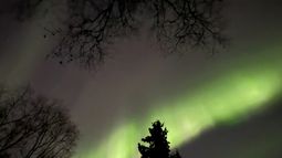ARCHIVO - La aurora boreal se observa sobre Anchorage, Alaska, a primera hora de la mañana del viernes 11 de octubre de 2024. (Foto AP/Mark Thiessen, Archivo)