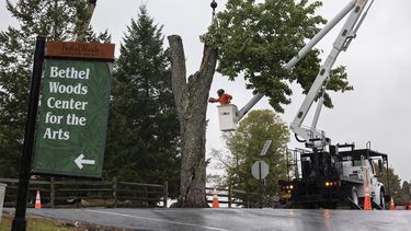 El Árbol de los Mensajes, un árbol del legendario festival de Woodstock de 1969 utilizado por los asistentes al concierto como una especie de tablero de mensajes, es talado el miércoles 25 de septiembre de 2024 en el Centro para las Artes Bethel Woods en Bethel, Nueva York, lugar del concierto histórico y festival de arte de 1969. (Foto AP/Craig Ruttle)