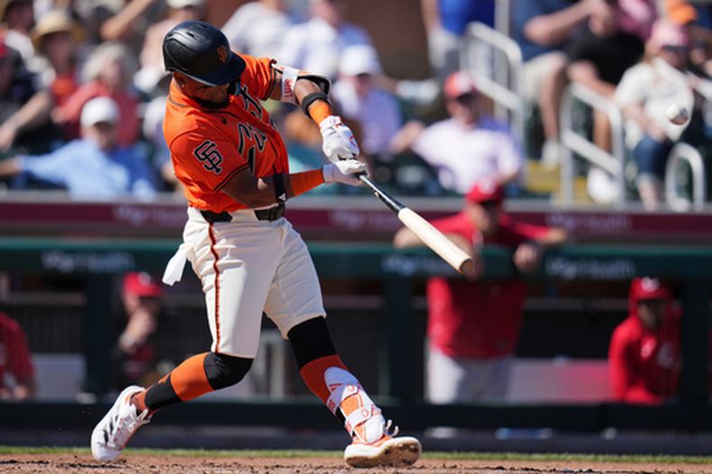 Luis Matos de los Gigantes de San Francisco conecta un doble ante los Rojos de Cincinnati en el encuentro de los entrenamientos de primavera el viernes 6 de marzo del 2026. (AP oto/Ross D. Franklin)