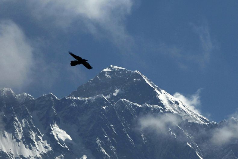 ARCHIVO - Un pájaro vuela en el fondo del Everest, visto desde Namche Bajar, distrito de Solukhumbu, Nepal, el 27 de mayo de 2019. (AP Foto/Niranjan Shrestha, Archivo)