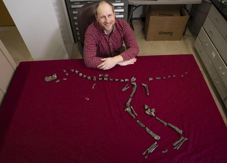 AMN-CIE_PEQUEÑO_T_REX-0.jpg