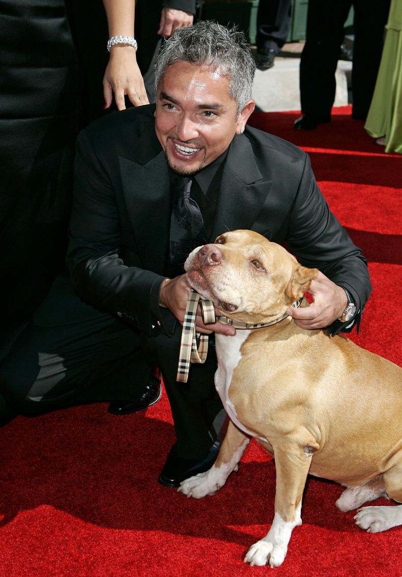 ESP-TEL_CESAR_MILLAN-INVESTIGACION-0.jpg