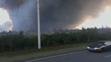 intentan sofocar incendio forestal en el condado