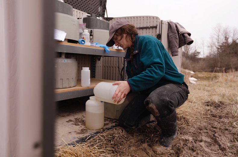La estudiante graduada de la Universidad de Vermont Delaney Bullock reúne muestras de vertidos de dos campos agrícolas para ser analizados y detectar concentraciones de nutrientes, el jueves 12 de marzo de 2026, en Bridport, Vermont. (AP Foto/Amanda Swinhart)