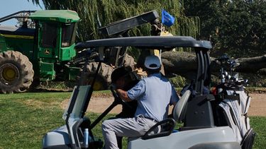 Varias personas conducen un carrito de golf frente a la tala de árboles en el East Potomac Park Golf Course, el lunes 26 de octubre de 2026, en Washington. (AP Foto/Julia Demaree Nikhinson)