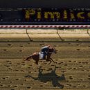 El ganador del Derby de Kentucky, Mage, entrena de cara a la 148va edición del Preakness Stakes en el Hipódromo Pimlico, el jueves 18 de mayo de 2023, en Baltimore. (AP Foto/Julio Cortez)