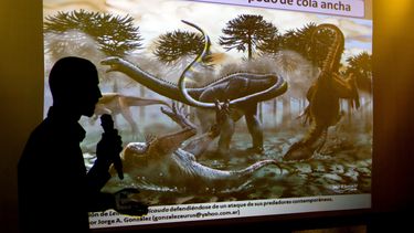 americateve | El paleont&oacute;logo Pablo Gallina explica a la prensa el descubrimiento en Argentina de un nuevo dinosaurio en Buenos Aires, el jueves 5 de mayo de 2014. Se trata del primer registro de un dinosaurio diplod&oacute;cido de cuello y cola largos en Sudam&