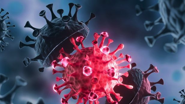 aumenta preocupacion por la variante delta del coronavirus