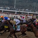 ARCHIVO - Caballos compiten durante la 151ra edición de la carrera de caballos Preakness Stakes, el 16 de mayo de 2026, en Laurel Park en Laurel, Maryland. (Foto AP/Julia Demaree Nikhinson, Archivo)