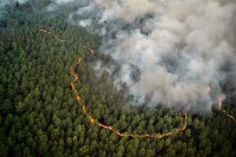lluvia ayuda a controlar gran incendio forestal en francia