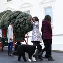 Arriba árbol de Navidad a la Casa Blanca