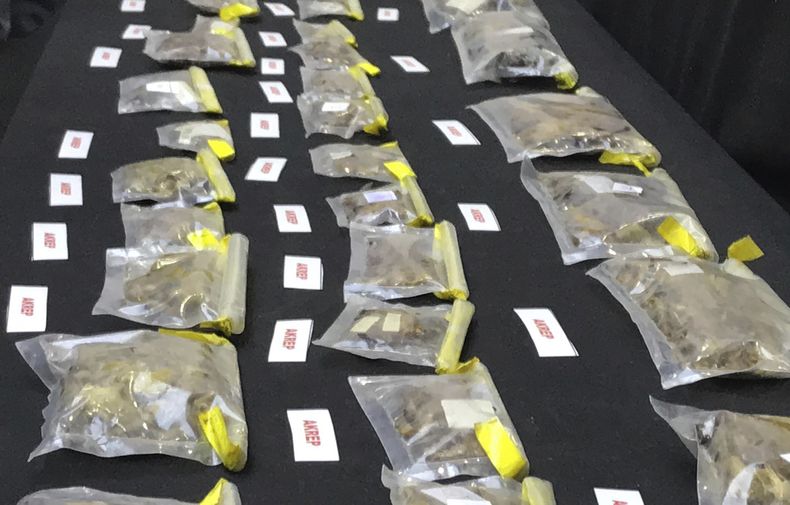 En esta fotografía difundida por las autoridades turcas, muestras confiscadas de arañas y escorpiones son exhibidas en el Aeropuerto de Estambul, Turquía, el lunes 13 de mayo de 2024. (Fuerzas de Seguridad de Turquía vía DIA)