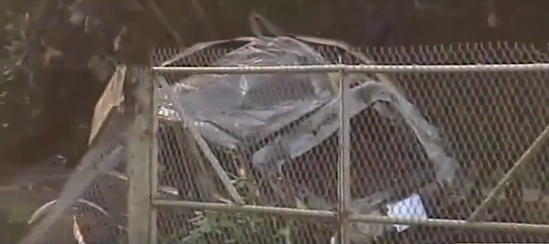 A esta hora dos familias están sufriendo las consecuencias de este accidente de tránsito.