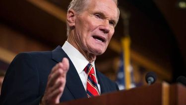 americateve | BILL NELSON.jpg